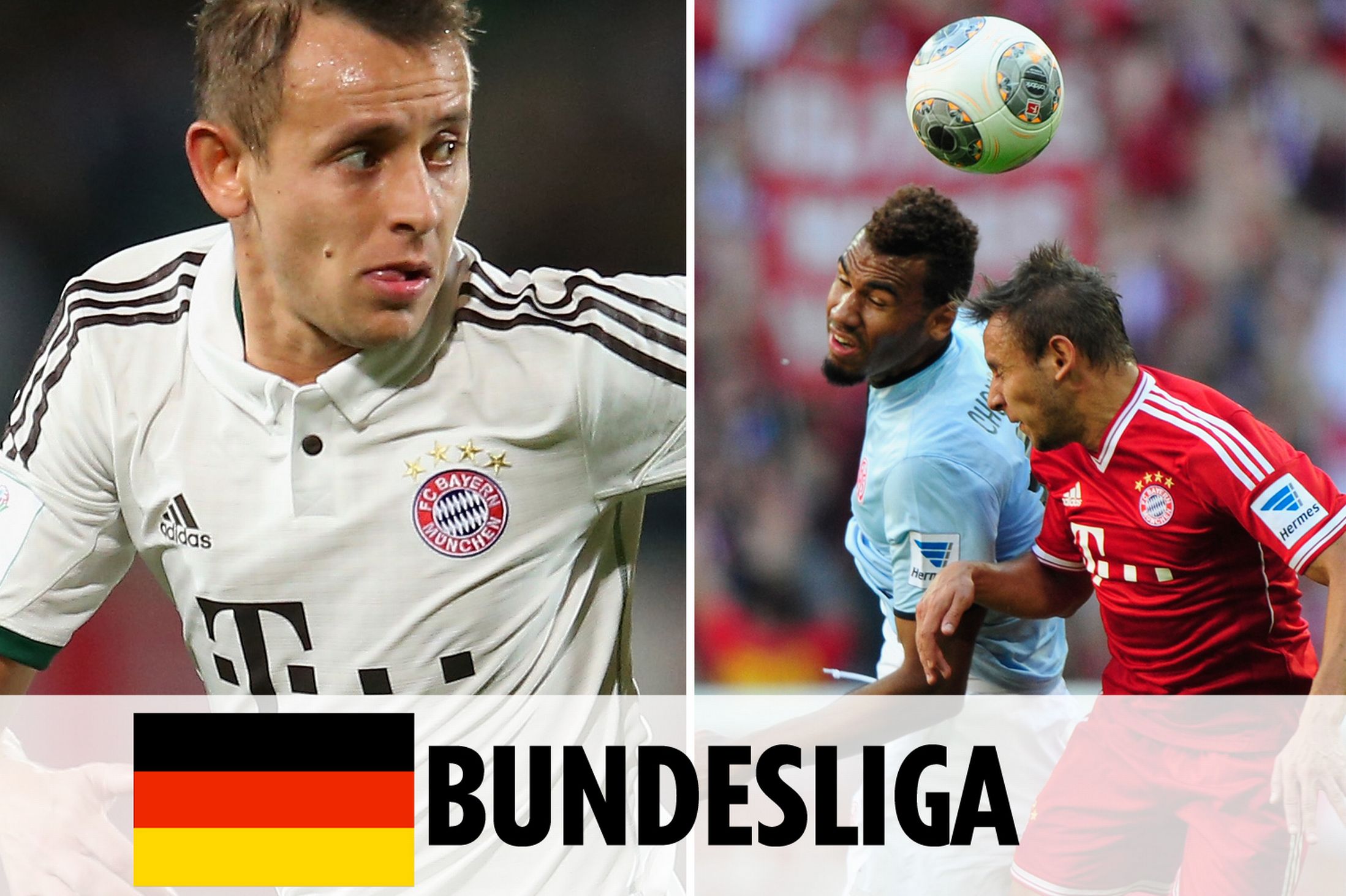 的庄或闲 的庄或闲