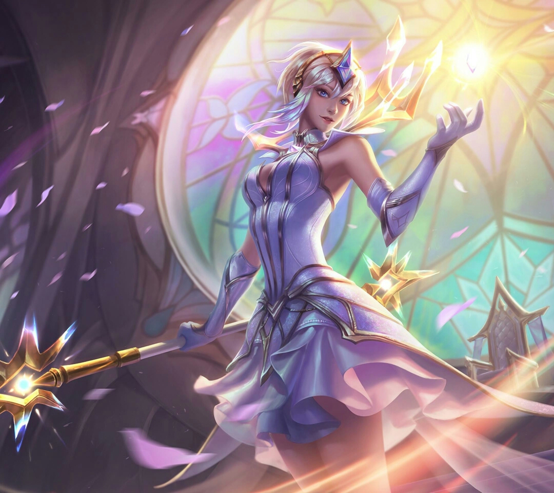 预约与新手 预约与新手